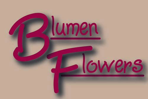 Blumen/Flowers